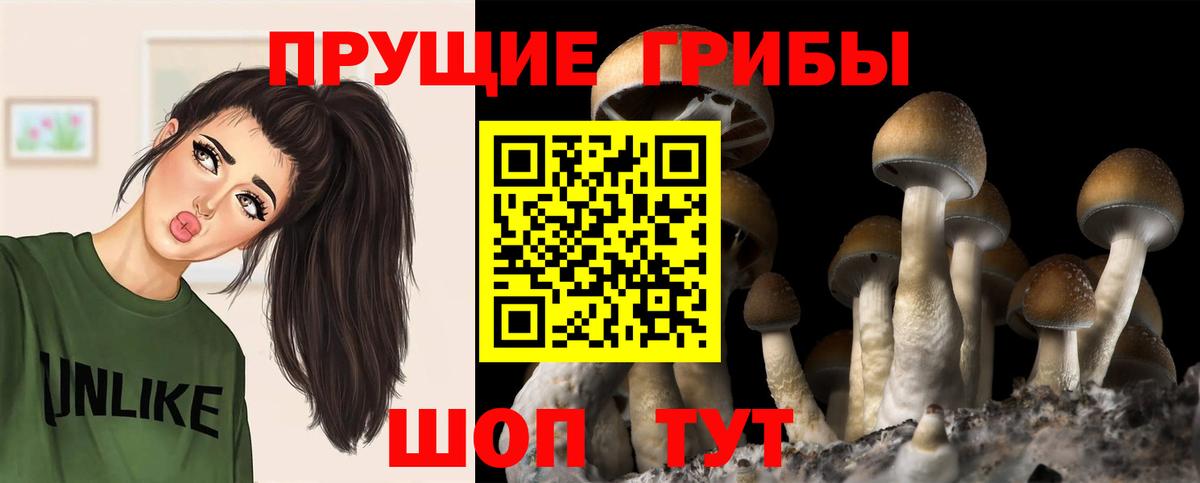 Галлюциногенные грибы Cubensis  Галлюциногенные грибы Psilocybine cubensis  Ухта  Вход с VPN 